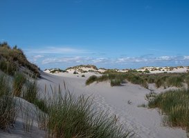 Normal_duinen_terschelling