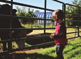 Normal_dutch-food-week-zaterdag