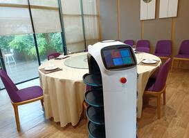 Hulp van robots bij personeelstekort horeca