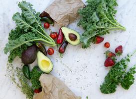 Kom de toekomst van voedsel proeven tijdens het Beter eten Festival