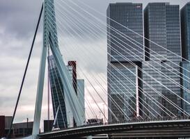 Normal_pexels-niels-hunnersen-3243763