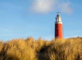 Noodkreet op Texel: dringend personeel nodig, anders catastrofale gevolgen
