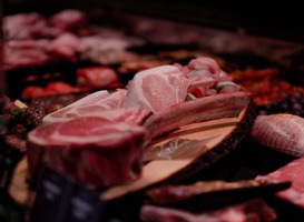 Normal_rickie-tom-schunemann-hn69xpcao3q-unsplash__1_