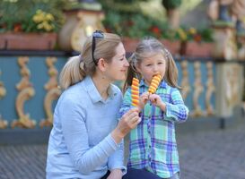 Efteling gaat La Place-restaurant Panorama omtoveren