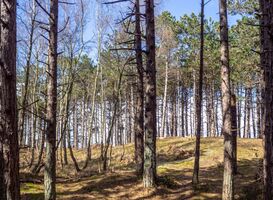 Normal_wim-van-t-einde-5fr9ulcjl0o-unsplash__1_