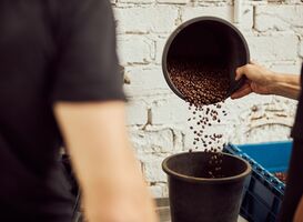 Normal_young-man-pouring-coffee-beans-into-bucket-2021-09-03-21-02-35-utc__1_