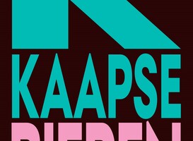 Normal_kaapse_flyer-2