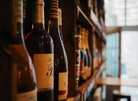 Normal_pexels-florent-b-2664149