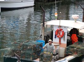 Normal_lobster-traps-gd9094a49d_1920__1_
