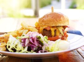 Normal_hamburger-and-fries-2021-08-26-23-05-03-utc__1_