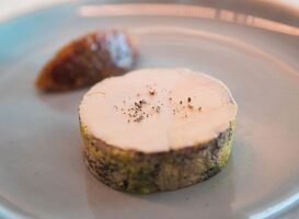 Normal_foie-gras-on-a-restaurant-plate-2022-06-14-02-05-48-utc__1_
