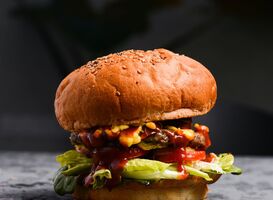 Normal_amin-ramezani-kzoobx0cxkg-unsplash__1_