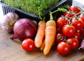 Normal_vegetables-2022-12-15-18-42-45-utc__1_
