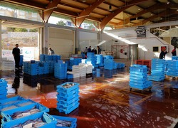 Normal_fish_auction_visafslag