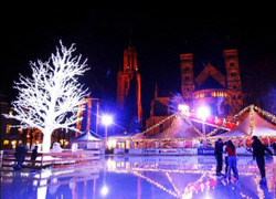 Normal_crop_23876_colw_353