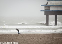 Normal_13862239310064_1