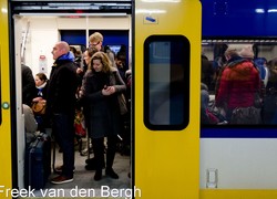 Normal_13862484840065_1