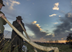 Normal_midwinter_hoorn