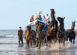 Normal_paardenreddingsboot_amelaqnd