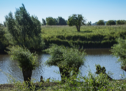 Normal_waallandschap