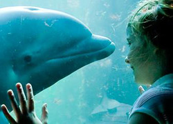 Normal_dromen_met_dolfijnen