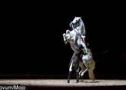 Normal_13910739410072_1