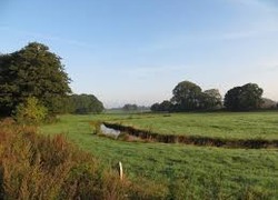 Normal_weiland_bomen_sloot_riet