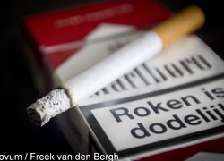 Normal_13977645820107_1