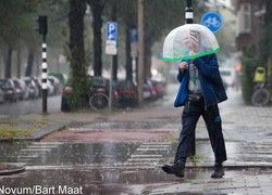 Normal_14010837420065_1