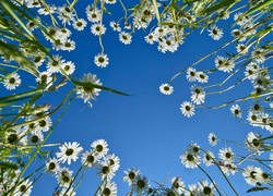 Normal_14012625820065_1