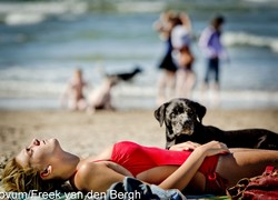 Normal_14041061560107_1