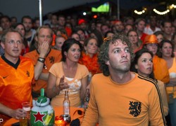 Normal_14047373280033_1