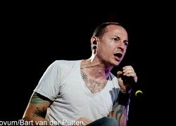 Normal_14048073390104_1