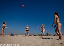 Normal_14053355880065_1