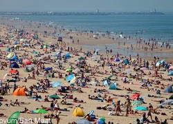 Normal_14055021710065_1