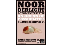 Logo_noorderlicht_2014