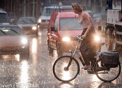 Normal_14093015100107_1