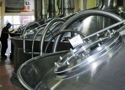 Normal_14107110410011_1