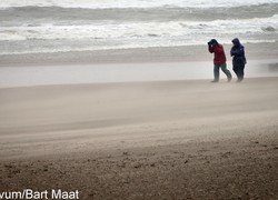 Normal_14111272230014_1