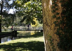 Normal_14120868040065_1