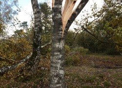 Normal_14125906770014_1