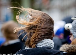 Normal_14144776090014_1