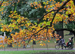 Normal_warm_november