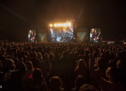 Normal_14162376370031_1