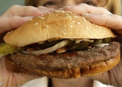 Normal_14163877460065_1