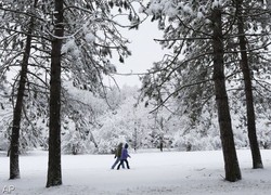 Normal_14186484130065_1