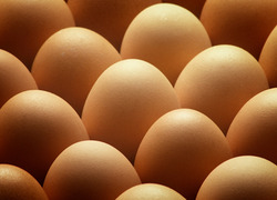 Normal_eieren_bruin
