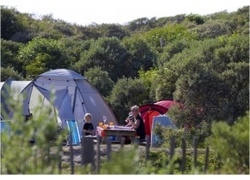 Logo_kennemer_duincampings_de_lakens