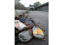 Logo_20141030_083355-225x300