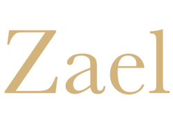 Logo_zael_logo
